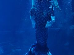 -太平洋海底世界