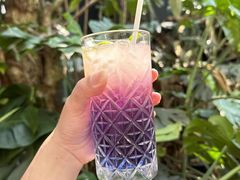 -Fern Forest Cafe