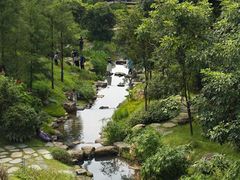 -云溪植物园