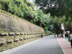 -仙岳公园