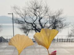 -云龙湖旅游景区