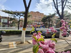 -中国石油大学（北京）(北京西校区)