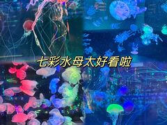 -正佳极地海洋世界