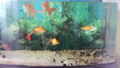 -悦芳庭美肤美体品牌集合店