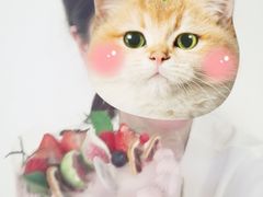 -蜜肆动物奶油蛋糕·个性定制·下午茶甜品