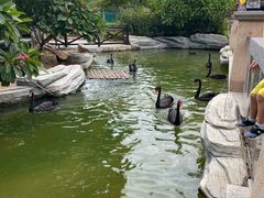 -灵玲国际马戏城