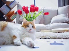 -终南山国家森林公园