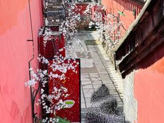 -潭柘寺景区