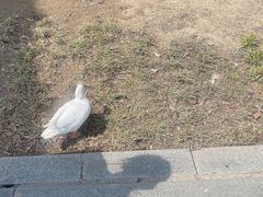 -中国农业博物馆