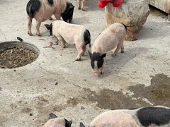 -水上乐园·欢乐世界