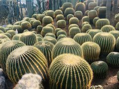 -南山植物园