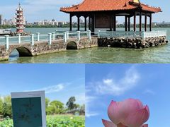 -无锡蠡湖国家湿地公园-蠡园