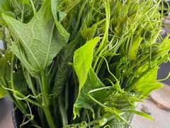 -新草堂锅物料理(泉城路店)