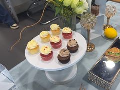 -北京之星奔驰4S店(亦庄店)