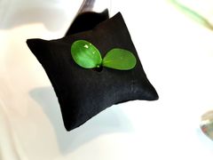 -九献创意菜·牛排馆(亮马河花园店)