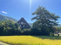 -白川乡与五箇山的合掌构造村落