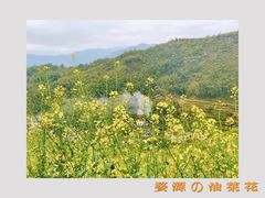 -篁岭景区