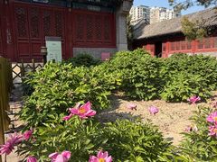 -大钟寺古钟博物馆