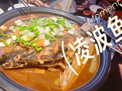 -探鱼·鲜青椒爽麻烤鱼(西南商都店)