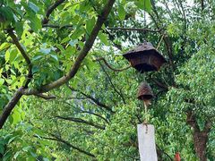 -白云山风景名胜区
