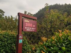 -桃花岭景区