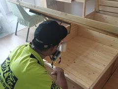 -绿色亿家除甲醛机构