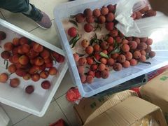 -岳各庄批发市场(西四环中路店)