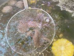 牛骨清汤锅底-林记潮牛·牛肉火锅(上马墩店)