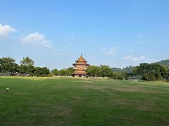 -顺峰山公园