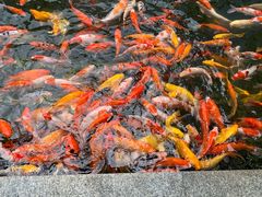 -番禺宾馆丽苑厅