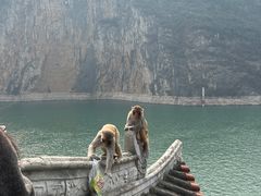 -白帝城·瞿塘峡景区