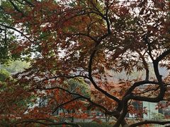 -浙江西子宾馆·牡丹厅