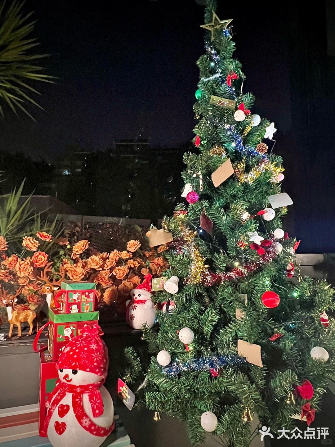 鹅岭二厂观景烤肉，倚月扶栏看秋水揽星河