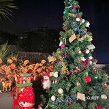 鹅岭二厂观景烤肉，倚月扶栏看秋水揽星河