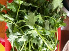 -章记正宗南岗鱼蛋火锅