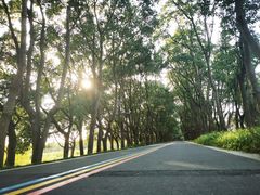 -同里国家湿地公园