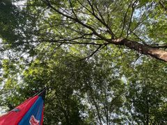-玲珑塔公园