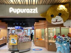 -帕帕拉兹宠物(亚洲旗舰店)