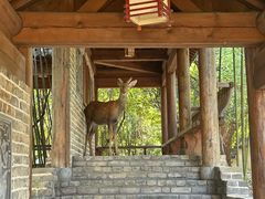 -观唐（国际）度假村温泉