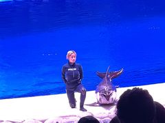 -华夏文旅海洋公园