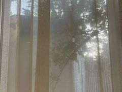 -子霖南山鲜虾面(南山总店)