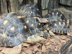 -大连森林动物园