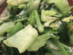 虾米盖菜-聂记粤菜馆(鼓西路店)