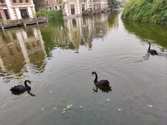-成都南湖公园