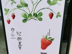 -喜茶(上海打浦桥日月光店)