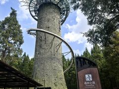 -黄海国家森林公园