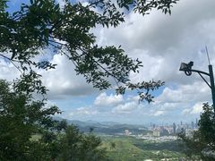 -深圳湾公园(南山区)