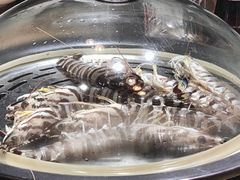 -77号渔船·蒸海鲜青岛菜(积米崖店)