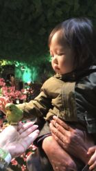 -酷嗒动物文化乐园(cutezoo西溪乐天城店)