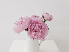 -INSDREAM FLOWER 鲜花预定·花艺培训